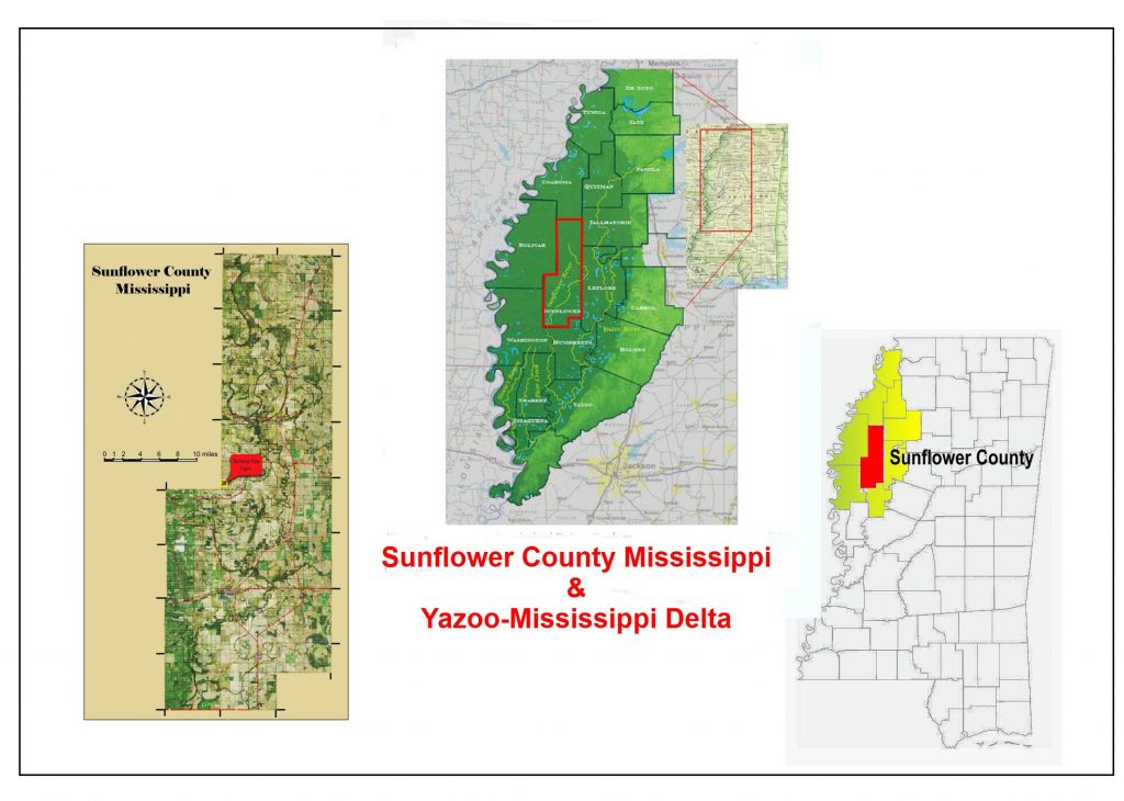 Sunflower Map